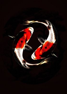 koi fish