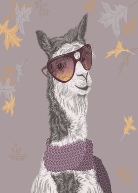 Lama on autumn