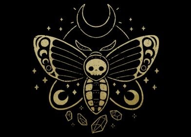 Occult Deaths Head Moth