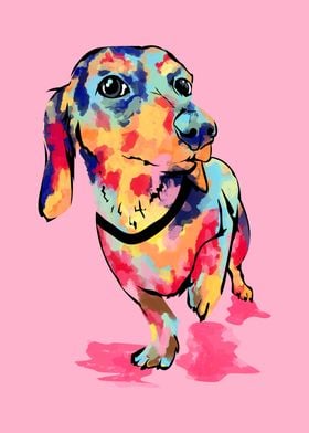 Rainbow Pup