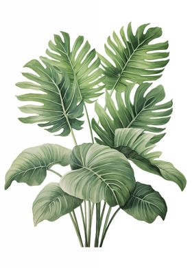 Tropical Leaves Floral Art