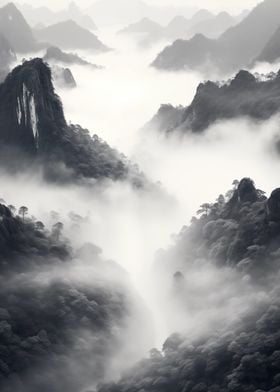 Mountain Mist Forest 