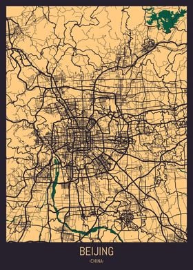 City Maps Black Beige-preview-1