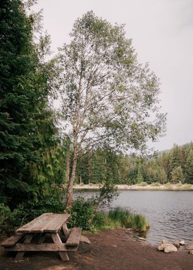 Picnic Lake