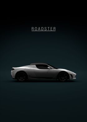 2011 Tesla Roadster White