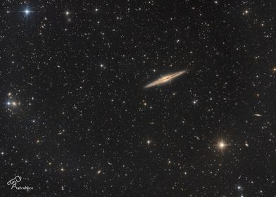 NGC 891