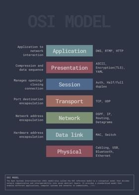 OSI Model