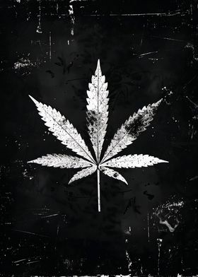 Black And White Weed