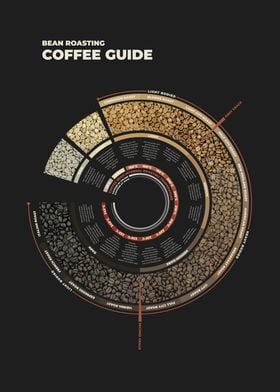 Coffee Bean Roasting Guide