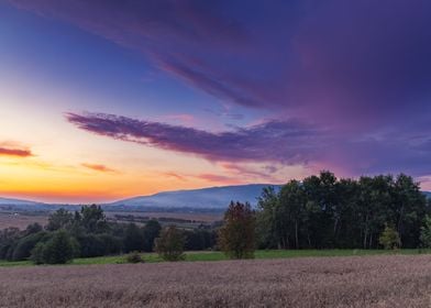 Colorful summer sunset