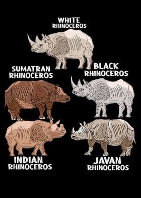 Javan Rhinoceros Species