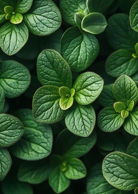 green plants texture