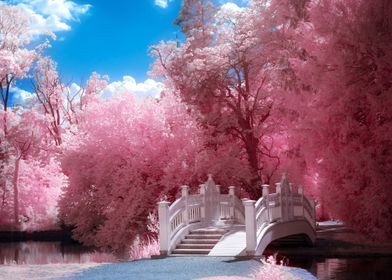 Brige to Pink Land