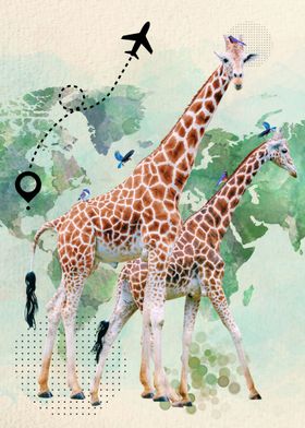 Giraffe couple on worldmap