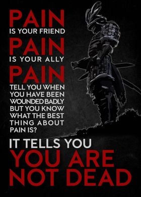 Pain Samurai Quote