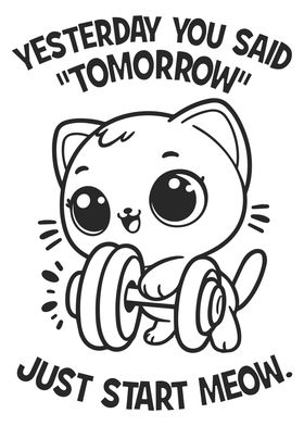 Start Lifting Meow Gym Cat