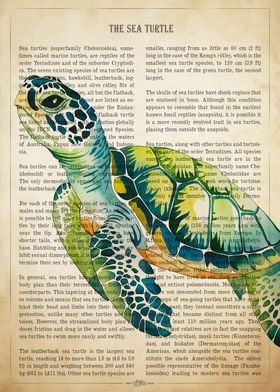 The Sea Turtle