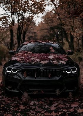 BMW black beast