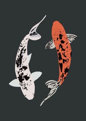 Koi Fish