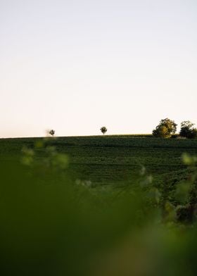 Serenity on the Hilltop