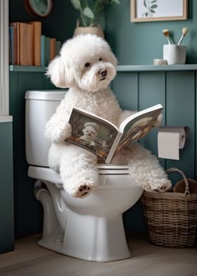 Bichon Frise on the Toilet