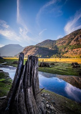 Splendid valley