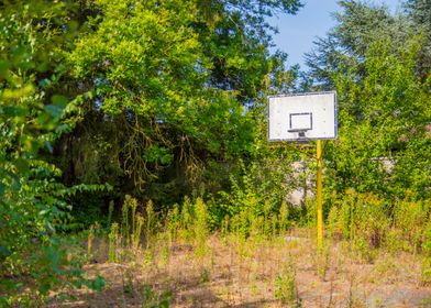 Jungle basketball court