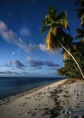 Serene Beach by Night