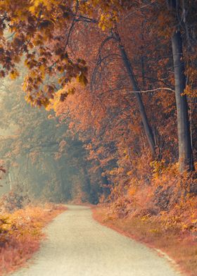 Autumn alley among tress