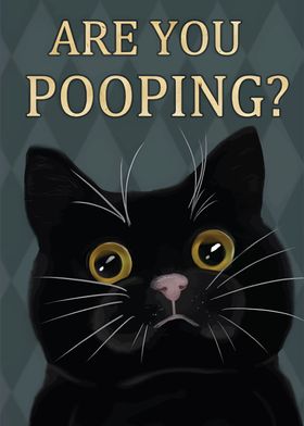 Black Cat are you pooping