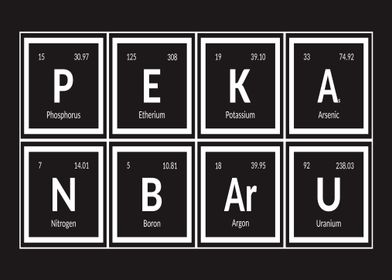 Pekanbaru Elements