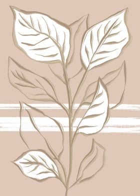 Beige Big leaf Plant