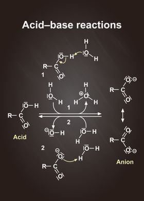 Acide base reactions