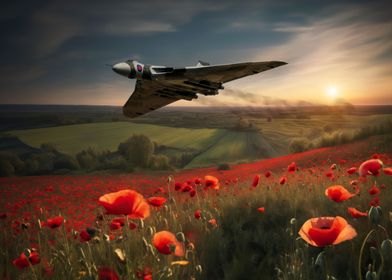 Vulcan Bomber Poppy Pass