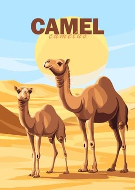 Camel Family Poster