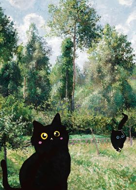 Black Cats garden