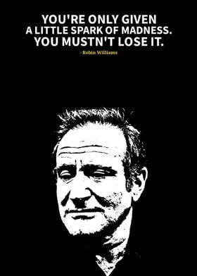 Robin Williams quotes