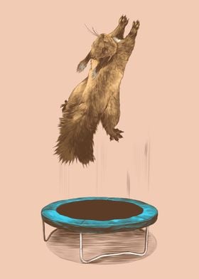 Squirrel on a Trampoline