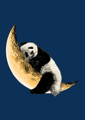 Panda Sleep on the Moon