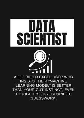 DATA SCIENTIST DEFINITION