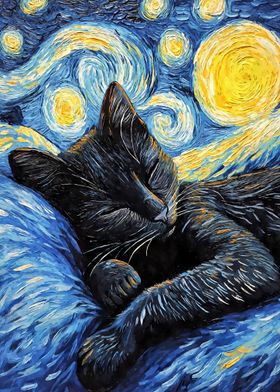 Black Cat Sleeping Night