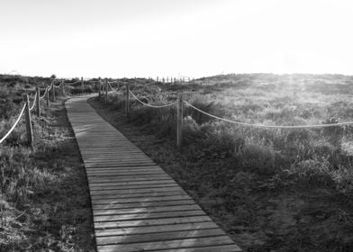 Beach path black and white