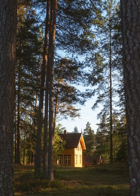 Yellow House in Forest