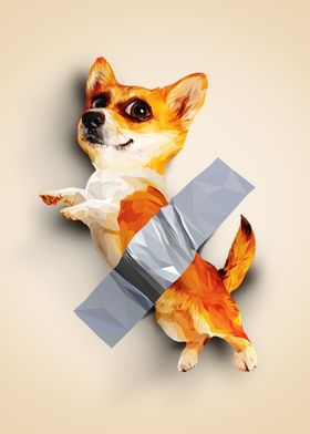 TAPED CORGI