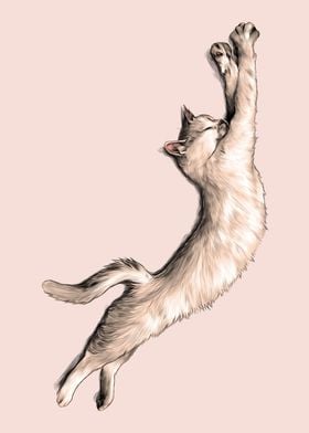 The Cat Stretches