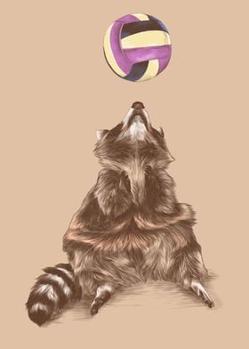 Raccoon Play Ball