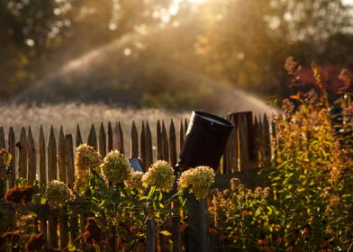 Autumn garden