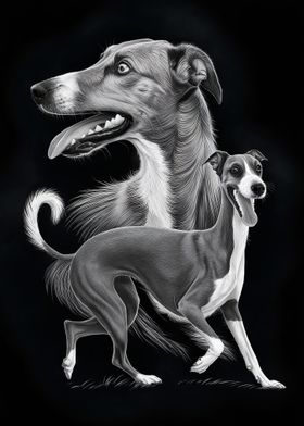 Greyhound Dog Portrait