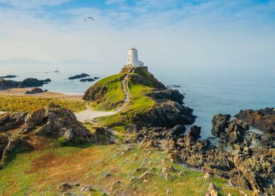 Path To The Lighthouse