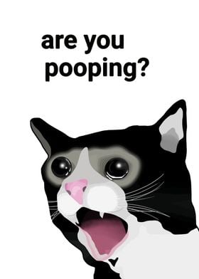 Cat Are You Pooping